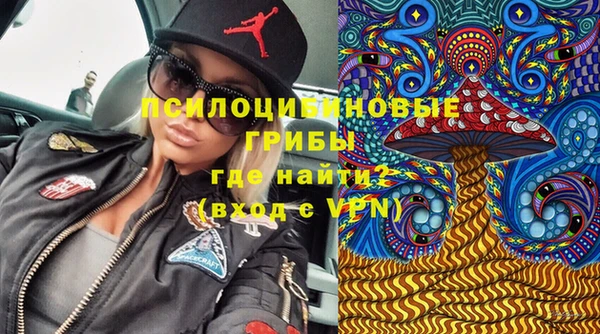 прущие крисы Алзамай