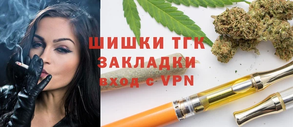 тгк Алексин